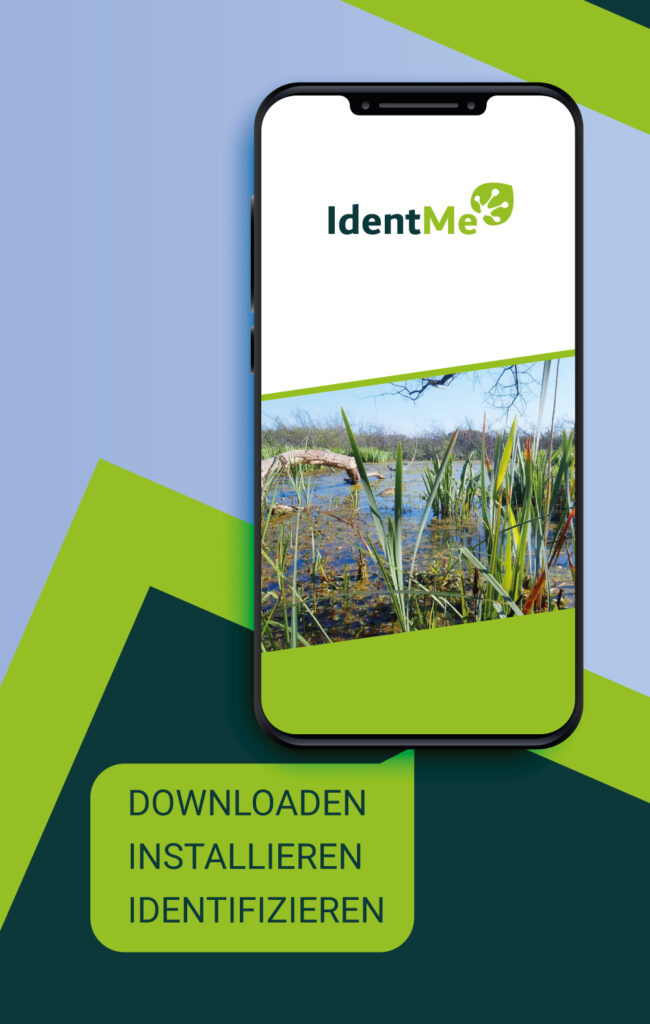 IdentMe App Screenshot Splashscreen