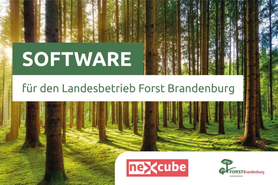 Landesbetrieb Forst Brandenburg Plausibilitätskontrolle Deckblatt