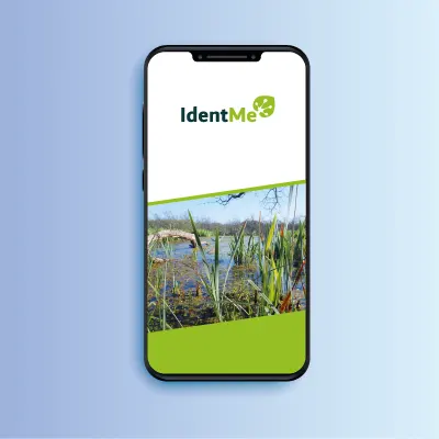 IdentMe App auf dem Smartphone als Vorschaubild.